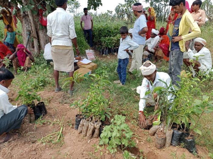 Natural_Resources_Management